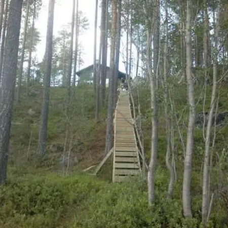 Holiday Hopeakallio