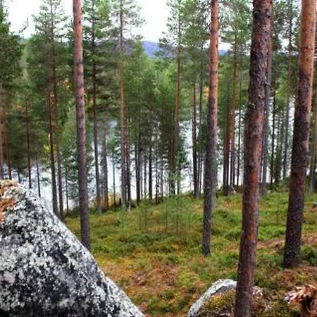 Holiday Hopeakallio