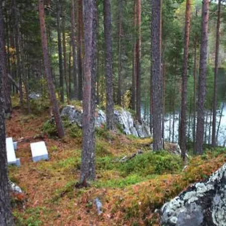 Holiday Hopeakallio